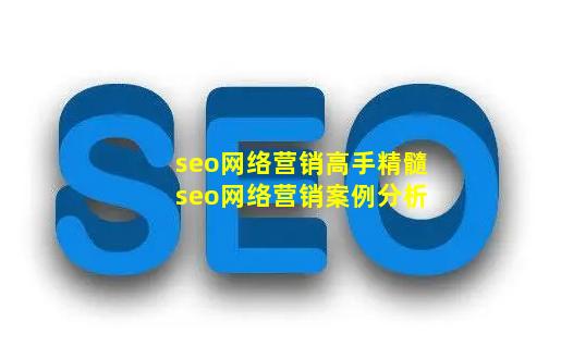 seo网络营销高手精髓(seo网络营销案例分析)