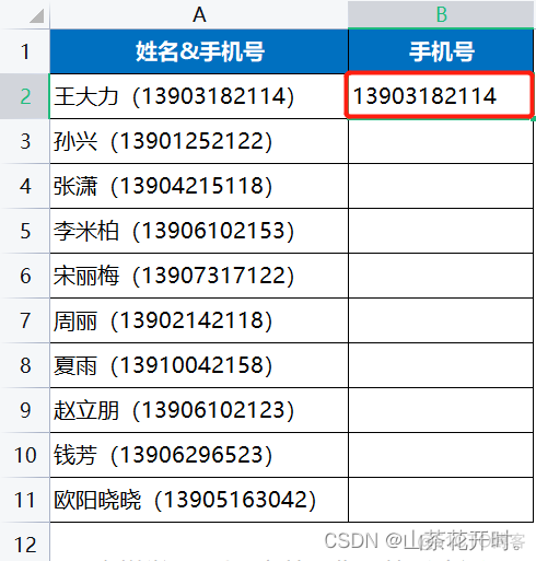 elemet 复制 ecexl怎么复制_数据_06