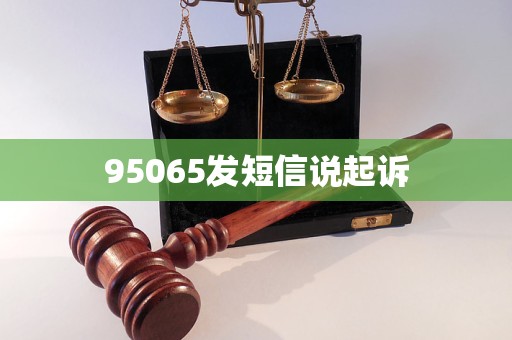 95065发短信说起诉