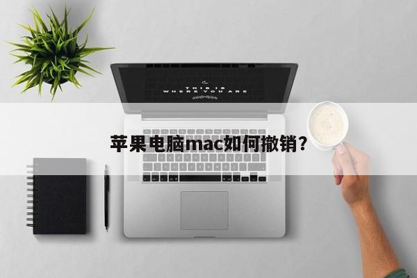 苹果电脑mac如何撤销？