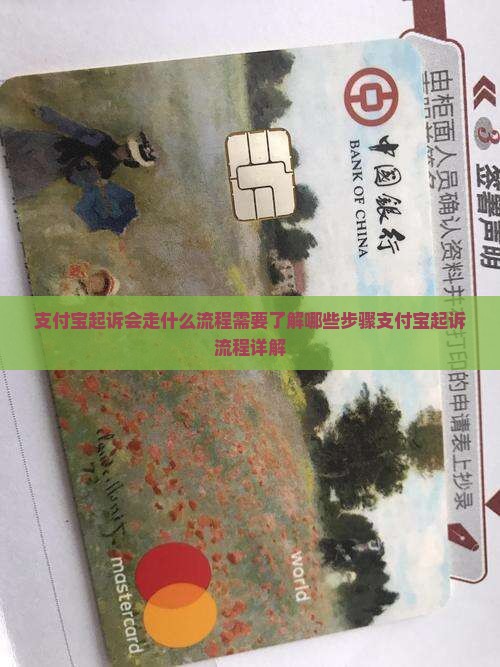 支付宝起诉会走什么流程需要了解哪些步骤