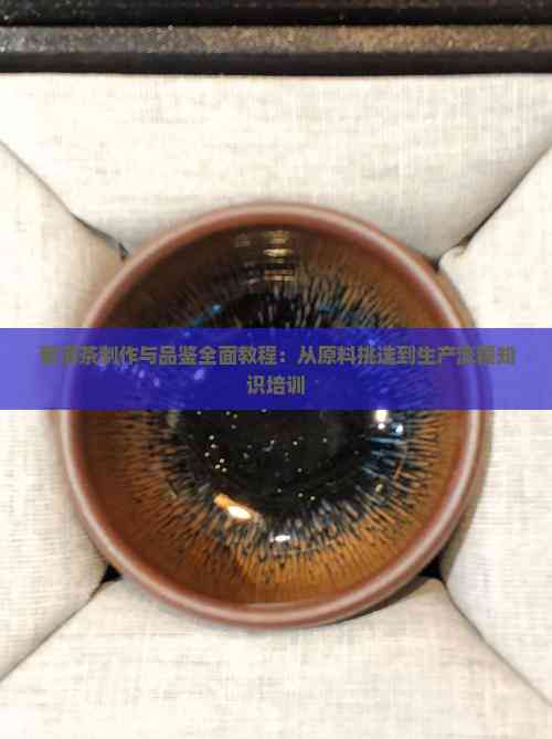 普洱茶制作与品鉴全面教程：从原料挑选到生产流程知识培训