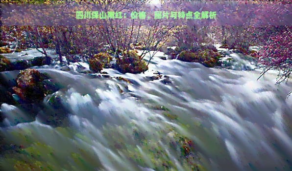 四川保山南红：价格、图片与特点全解析