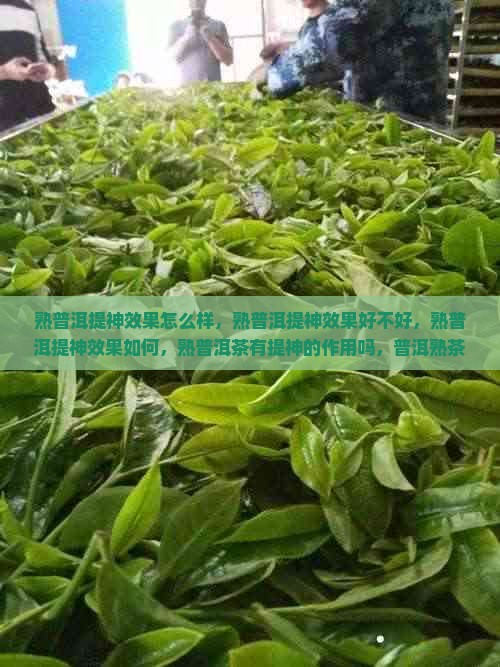 熟普洱提神效果 熟普洱提神效果