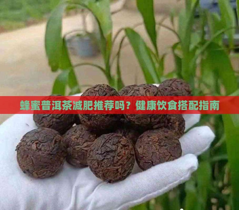蜂蜜普洱茶减肥推荐吗 蜂蜜普洱茶减肥推荐吗