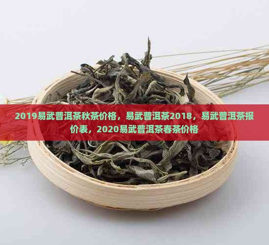 2019易武普洱茶秋茶